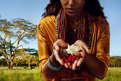 咖啡的(de)故事(shì)